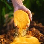 Cultiver la cardamome à la maison en pot : Guide étape par étape