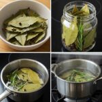 Cultiver la cardamome à la maison en pot : Guide étape par étape
