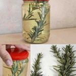 Purifiez votre foie naturellement : seulement 1 cuillère de menthe séchée par jour !