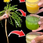 Le seul guide dont vous avez besoin pour savoir quand planter vos légumes et pourquoi