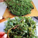 🌱 7 Légumes que Vous Pouvez Acheter Une Fois et Faire Repousser Pour Toujours