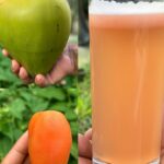 Adieu aux Cochenilles Farineuses, Pucerons, Escargots et Parasites sur les Plantes : Une Solution Naturelle