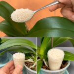 Du pain en seulement 10 minutes, sans four : la recette maison incontournable