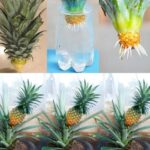 Guide complet : Comment fabriquer un chauffe-eau solaire avec des bouteilles en plastique recyclable