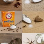 Le Guide Ultime du Pain Sans Pétrissage au Romarin, Canneberges, Huile d’Olive & Sel Marin : Saveurs, Techniques et Bienfaits
