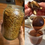 Les tomates, préparez‑les ainsi et conservez‑les tout l’hiver : un régal !