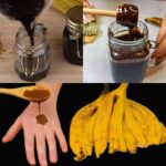 Foie de bœuf poêlé aux oignons et pommes de terre croustillantes : la recette authentique et facile