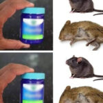 Foie de bœuf poêlé aux oignons et pommes de terre croustillantes : la recette authentique et facile