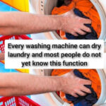 Bol de Tofu citron‑ail & légumes : Recette complète, astuces et variantes