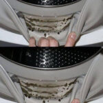 Comment Éliminer les Mauvaises Herbes de Votre Jardin ou Terrain Définitivement : Le Secret pour Dire Adieu aux Mauvaises Herbes Sans Produits Chimiques ni Substances Nocives