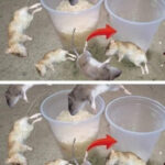 Pourquoi cette astuce mérite votre attention