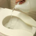 Comment Éliminer les Mauvaises Herbes de Votre Jardin ou Terrain Définitivement : Le Secret pour Dire Adieu aux Mauvaises Herbes Sans Produits Chimiques ni Substances Nocives