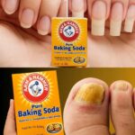 La découverte qui glace le sang — ou émerveille