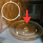 La découverte qui glace le sang — ou émerveille