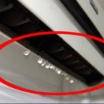 Commencez Votre Journée avec du Curcuma : La Boisson Miracle du Matin pour Perdre du Poids et Détoxifier Votre Corps