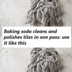 La Raison Inattendue De Suspendre Des Bouteilles En Plastique Aux Arbres : Une Utilisation Surprenante Pour Protéger Les Arbres