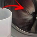 Jetez une Gousse d’Ail dans Vos Toilettes : Le Truc de Grand-Mère qui Résout ce Problème Terrible ! Résultats Incroyables Dès le Lendemain