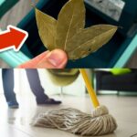 Jetez une Gousse d’Ail dans Vos Toilettes : Le Truc de Grand-Mère qui Résout ce Problème Terrible ! Résultats Incroyables Dès le Lendemain