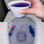 Pudding Sans Four avec 4 Ingrédients, Super Crémeux : Un Dessert Facile et Savoureux