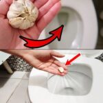 Adieu aux Mauvaises Odeurs et au Calcaire : Comment Détartrer Votre Machine à Laver Pour Qu’elle Dure Plus Longtemps