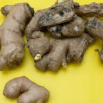 Toujours poser votre clôture avec le côté avant face à votre voisin : tout ce que vous devez savoir