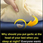 Comment Nettoyer Vos Plaques à Biscuits : Guide Complet, Astuces et Techniques Efficaces