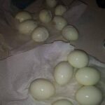 Faut-il vraiment cuire le maïs pendant des heures ? Démêlons le vrai du faux