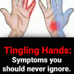 J’ai découvert une nouvelle façon de cuisiner les saucisses : une expérience culinaire vraiment transformative !