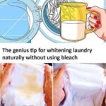 La méthode orientale pour attendrir les viandes robustes : le secret d’une viande tendre et juteuse