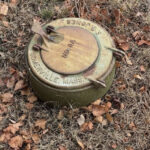 Le Premier Animal que Vous Voyez Révèle Quelque Chose de Vous : Découvrez ce que cela Dit sur Votre Personnalité