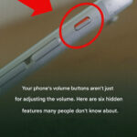 Boutons de Chasse d’Eau à Double Commande : Ce Que Vous Ne Saviez Pas