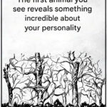 Un Voyage Culinaire Inoubliable