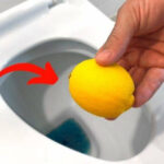 Eau au Gingembre : La Boisson la Plus Saine pour Brûler la Graisse Abdominale, du Cou, des Bras, du Dos et des Cuisses