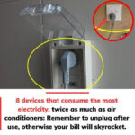 Comment distinguer un vrai miel d’un mauvais miel : tout ce que vous devez savoir