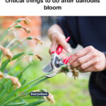 À quoi sert le petit panneau sur le pare-chocs avant de la voiture ? Une explication complète et détaillée