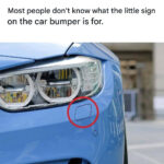 La floraison des jonquilles est terminée : voici 10 actions essentielles que la plupart des jardiniers ignorent