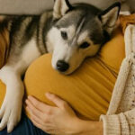 7 Aliments Puissants Qui Fluidifient Le Sang Que Vous Devez Connaître