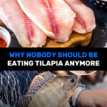 🥗 Betteraves Marinées : La Recette Maison Parfaite, Entre Tradition et Saveur Inoubliable