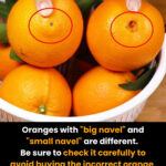 🥦 Chou-fleur et champignons à l’ail : un mariage parfait entre simplicité, santé et saveur