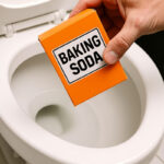 🍊 Après 50 ans : Faut-il choisir les grosses ou les petites oranges Navel ? Le guide nutritionnel complet pour un vieillissement en santé