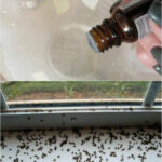 Mettre une bouteille d’eau sous le lit d’un hôtel : une habitude étrange, mais pas dénuée de sens