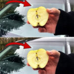 Cette métatarsalgie est très fréquente et touche beaucoup plus souvent les femmes : voici de quoi il s’agit