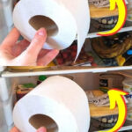 Le secret du creux circulaire sur les bouteilles de lait : un détail invisible au service de la science du quotidien