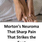 Le test des chiens : ce que votre perception révèle sur votre âge mental