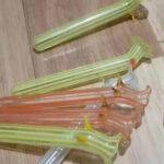 Le test des chiens : ce que votre perception révèle sur votre âge mental