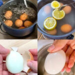 Choisis une grand-mère et découvre quel genre de femme âgée tu deviendras