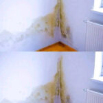 Tout le monde en avait un dans le placard : l’objet culinaire discret qui a nourri des générations