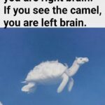 Le Grand Débat de la Peinture : Rouge Passion ou Bois Sacré, Quand un Meuble Devient un Enjeu Émotionnel et Esthétique