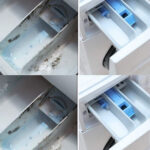 Les médecins révèlent que la consommation de gingembre provoque de profonds changements dans l’organisme : comprendre ses effets réels, durables et souvent méconnus