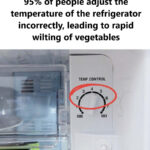 Quelle Est la Plus Belle Forme d’Ongles ? Le Secret Silencieux Derrière des Mains Élégantes, Féminines et Naturellement Attirantes